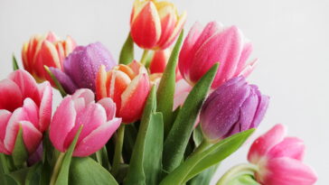 Como personalizar seu chaveiro de tulipas em crochê cheio cores e detalhes