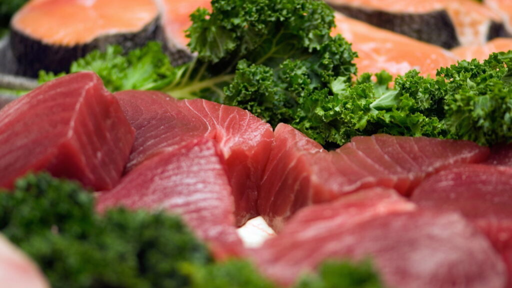 Conheça o atum, seus benefícios nutricionais e como incluir esse peixe saudável na sua dieta
