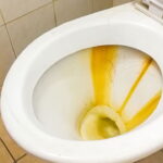 O truque caseiro que remove manchas do vaso em minutos sem produtos caros