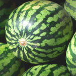 A fruta com o menor índice calórico que mais sacia no calor