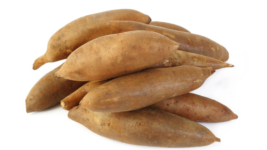 O tubérculo andino que está surpreendendo nutricionistas