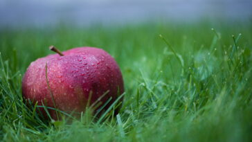 7 dicas para criar um chaveiro de maçã em crochê incrível