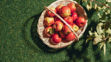 O cesto de crochê que virou febre na organização criativa