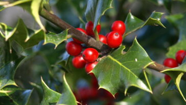 A cesta em crochê que promete dominar a decoração natalina artesanal