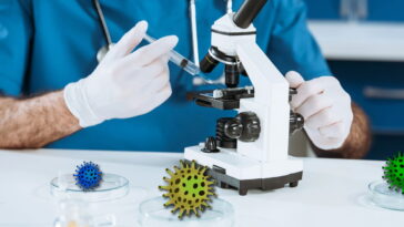 Aprenda a fazer o amigurumi de bactéria, a peça queridinha das aulas