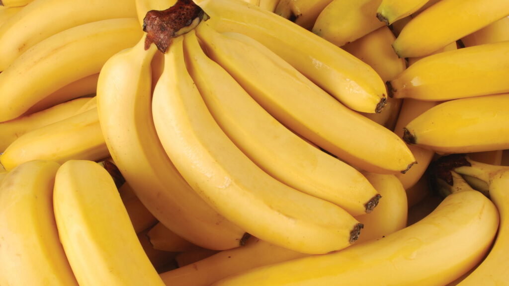 Essa fruta brasileira pode crescer na sua casa com um truque simples