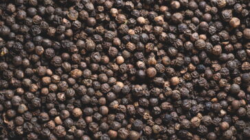 Pimenta preta virou o segredo para proteger vasos e hortas