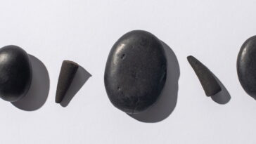 O truque simples com pedras que mantém suas plantas vivas por mais tempo