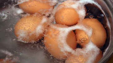 O segredo dos jardineiros brasileiros pode estar na panela do seu café da manhã