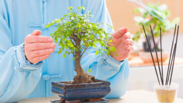 Bonsai em crochê com tronco estruturado, um tutorial para iniciantes