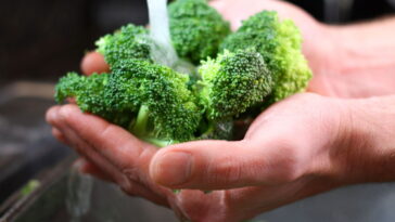 A forma mais eficaz de lavar brócolis e remover toda a sujeira