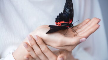 O aplique de crochê que está encantando as artesãs com charme e carinho