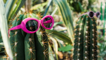 Essa almofada em formato de cacto virou o xodó da decoração artesanal