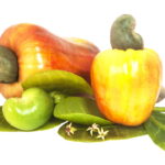 Essa árvore frutífera rústica virou febre entre quem cultiva em casa