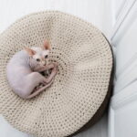 Essa caminha de crochê deixa os pets mais confortáveis e felizes com aconchego e beleza