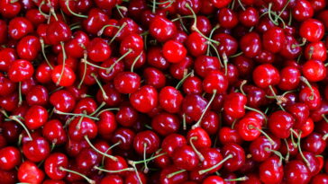 O detalhe artesanal que vai dar vida às suas bolsas e cortinas