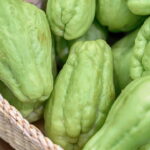 Esse legume barato está conquistando espaço nas dietas funcionais