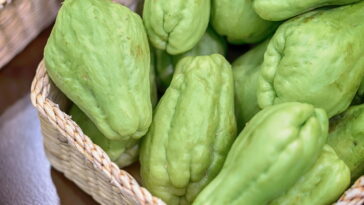 Esse legume barato está conquistando espaço nas dietas funcionais