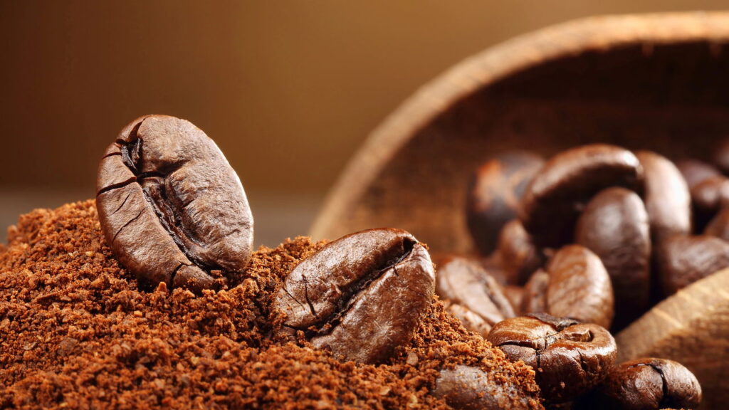 O melhor adubo natural para orquídeas pode estar na sua cozinha