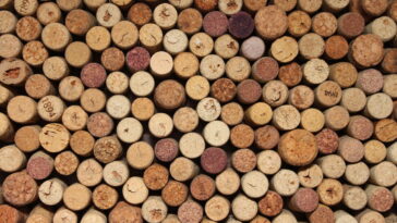 Esse item que iria para o lixo virou segredo no cultivo das plantas