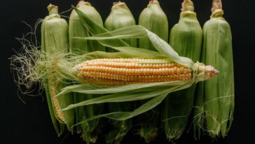 Esse chaveiro de crochê virou o queridinho das festas juninas