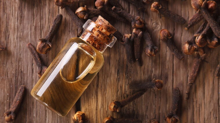 A solução barata que está salvando casas brasileiras dos mosquitos