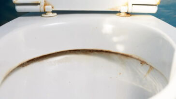 Conheça o guia completo para remover calcário do vaso sanitário sem danificar a cerâmica