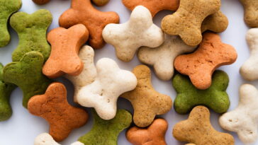 A peça de crochê que está encantando quem ama cães e artesanato