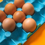 Caixas de ovos estão virando tendência no reaproveitamento criativo