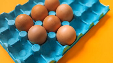 Caixas de ovos estão virando tendência no reaproveitamento criativo