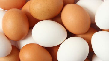 O alimento mais completo e acessível segundo nutricionistas brasileiros