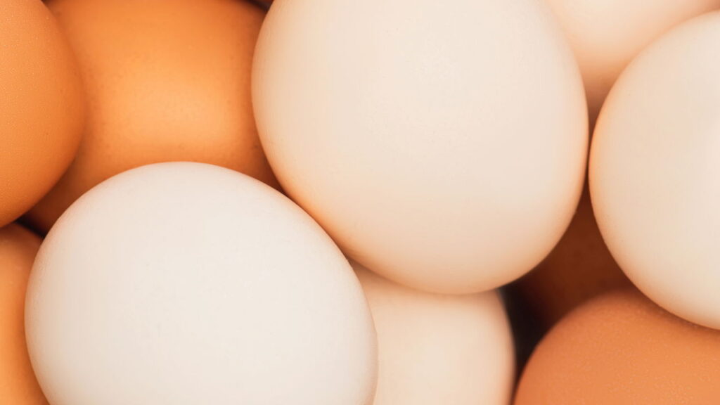 O alimento mais completo e acessível segundo nutricionistas brasileiros