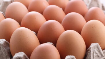 Brasileiros estão cometendo esse erro ao guardar ovos em casa