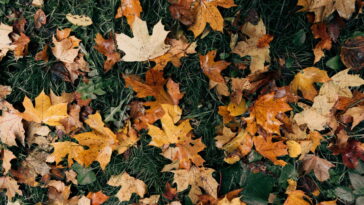 Varal de folhas em crochê, fácil bonito e perfeito para qualquer ambiente