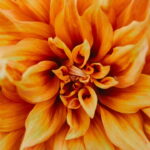 Esse chaveiro de flor simples em crochê é ideal para vender ou presentear