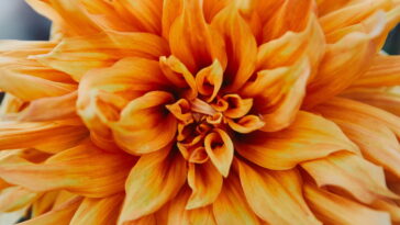 Esse chaveiro de flor simples em crochê é ideal para vender ou presentear