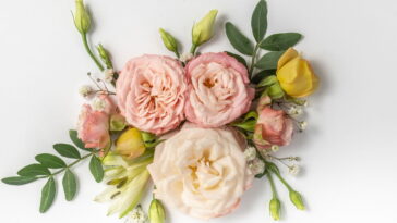 Como fazer descanso com flor bordada em crochê passo a passo