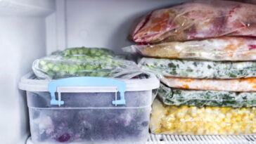 As melhores práticas para congelar alimentos sem perder sabor nem nutrientes