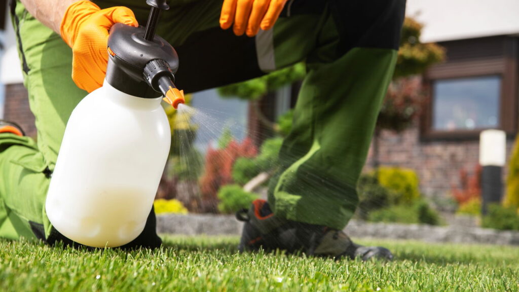 Use isso no jardim e nunca mais verá ervas daninhas crescerem