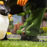 Por que aplicar vinagre em pátios e calçadas segundo um jardineiro profissional