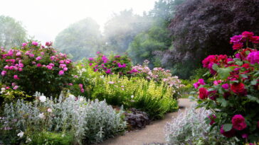 Truque caseiro com água e moedas para afastar bichinhos indesejados do lado de fora