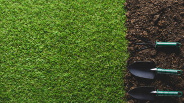 O guia mais eficiente para renovar o solo dos canteiros elevados