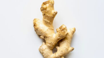 O segredo do mate com gengibre que está conquistando o Brasil