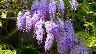 O detalhe em crochê que transforma seu carro com charme e romantismo