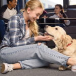 Tapete em formato de osso para pet em crochê, um passo a passo completo