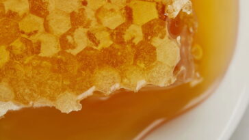 A manta artesanal que virou tendência nas decorações aconchegantes