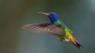 O chaveiro artesanal que virou sensação entre lembrancinhas criativas