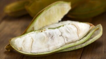 A fruta amazônica pouco conhecida que pode proteger seu fígado