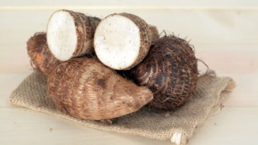 Aprenda como ter inhame fresco em casa o ano inteiro