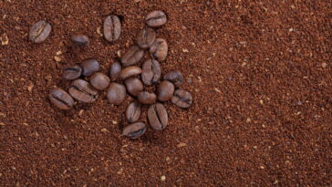 Café moído é o repelente natural mais eficaz contra insetos, veja como usar no dia a dia